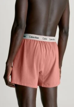 CALVIN KLEIN UNDERWEAR Boxershorts - Rust -Herrenbekleidung 1eae82da93d04920ae5ccc0d4c77a0b9