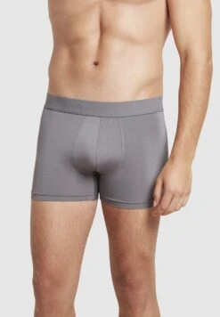 5-PACK - Panties - Ash