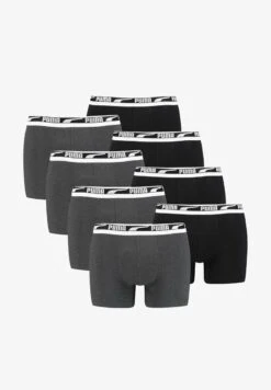 Puma MULTIPACK 8 PACK - Panties - Sage Combo -Herrenbekleidung 33e94acac785478290384da37aa22244