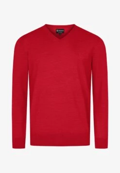 Giesswein LIGHT - Strickpullover - Himmelblau -Herrenbekleidung 398e096945aa4dd18e527010e86661f5