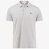 Lacoste HERREN - Poloshirt - Grey -Herrenbekleidung 47d7ae2e22624b8b869497847df4b2fe