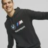 Puma BMW M MOTORSPORT ESS - Kapuzenpullover - Black 1 Puma BMW M MOTORSPORT ESS - Kapuzenpullover - Black -Herrenbekleidung 4f09ecd4dae7410ebe3aae349540b004