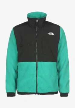 THE NORTH FACE FLEECEJACKE DENALI 2 - Fleecejacke - Acid Yellow -Herrenbekleidung 6ca2b185db484045a6ae20cd3e2a39b3