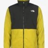 THE NORTH FACE FLEECEJACKE DENALI 2 - Fleecejacke - Acid Yellow 2 THE NORTH FACE FLEECEJACKE DENALI 2 - Fleecejacke - Acid Yellow -Herrenbekleidung 6cda109e0176424cad6a61c98e759d1e