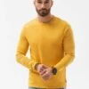 Langarmshirt - Mustard -Herrenbekleidung 749dbda5a24d4f78addeab46d4c1b541