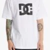 DC SHOES STAR - T-Shirt Print - White -Herrenbekleidung 76cb1379e7314280820d204de42fde05