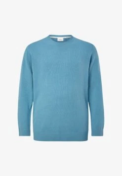 Strickpullover - Grün -Herrenbekleidung 77931158f7084fbeaf2403ac0eda7b67