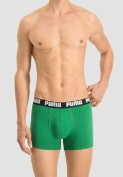 Puma 8ER PACК - Panties - Amazon Green -Herrenbekleidung 7ded58eccaad41d18cc3cbae706d98e1 1