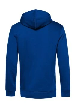 Henry Tiger POWER RANGERS BLUE RANGER COSTUME - Kapuzenpullover - Royal Blue -Herrenbekleidung a056cb4e092a4efca11a2ad3d43f8fa6