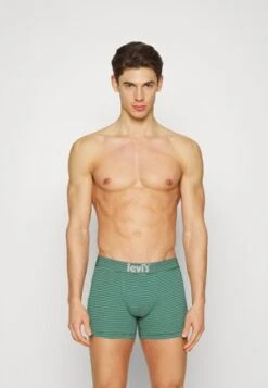 LEVIS MEN ARTISANAL BOXER BRIEF 2 PACK - Panties - Palace Blue -Herrenbekleidung b3db859e0d4b4796a8fafdf5f3bfcd41