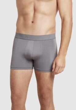 3-PACK EVERYDAY - Panties - Ash 12 3-PACK EVERYDAY - Panties - Ash -Herrenbekleidung bc51ddc614fd4aa5ae0aa20361d09a1e 1