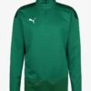 Puma TEAMGOAL - Sweatshirt - Pepper Green / Power Green -Herrenbekleidung c1262686ccf04b718873b3ed611f65af