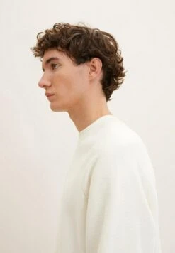 TOM TAILOR Denim DENIM STRICK - Strickpullover - Soft Light Beige -Herrenbekleidung d63d476dd6f743ecb684771dd63effee