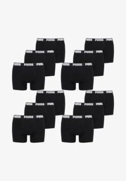 Puma MULTIPACK 8 PACK - Panties - Sage Combo -Herrenbekleidung f57f2a8eb1b2402e9646d77cfc2972b5