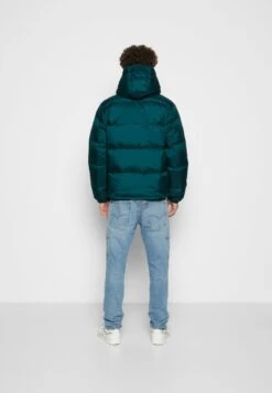 HOODED FILLMORE - Daunenjacke - Ponderosa Pine -Herrenbekleidung fa7d509f177b45bfa59a89c568c6b9f1